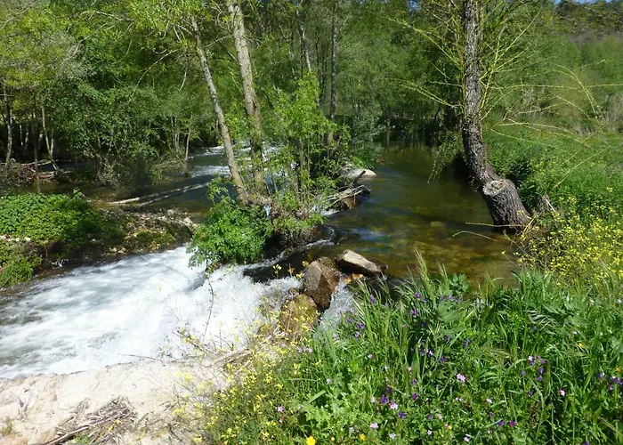 別荘 Casa Retiro De Lisei ペナルヴァ・ド・カステロ