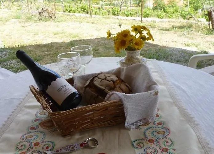 Casa Retiro De Lisei 別荘 *