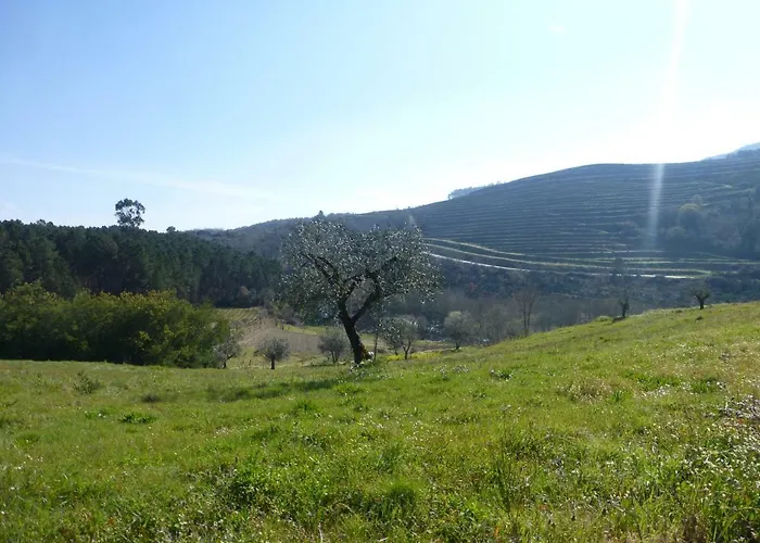 Casa Retiro De Lisei 別荘